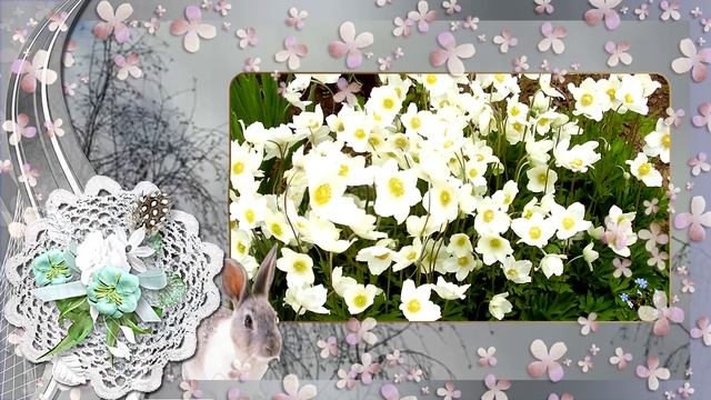 Первые цветы весны. Апрель. смотреть онлайн