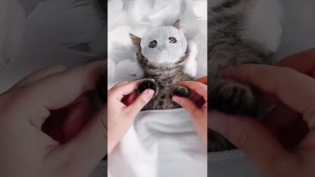 Процедуры перед сном смотреть онлайн