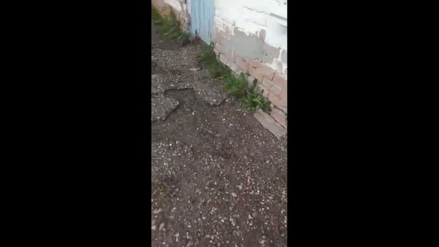 Рушится крыша. Детский сад в селе Новонадеждино. смотреть онлайн