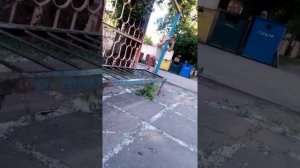 Треш! Девочка рассказывает о том, как она будет фотографировать половые органы своей семьи!