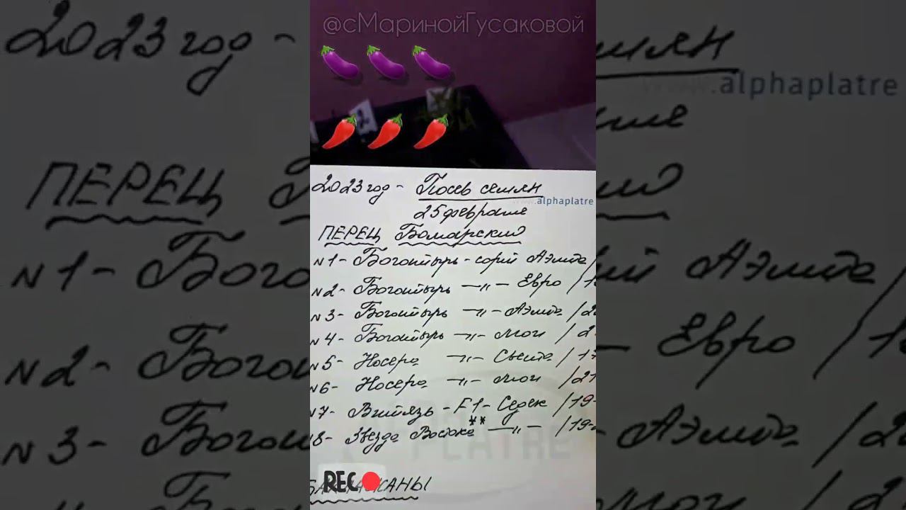 И все таки букетный способ лучше ПЕРЕЦ и  БАКЛАЖАНЫ на 7-ой день #рассада #перец #баклажаны смотреть онлайн