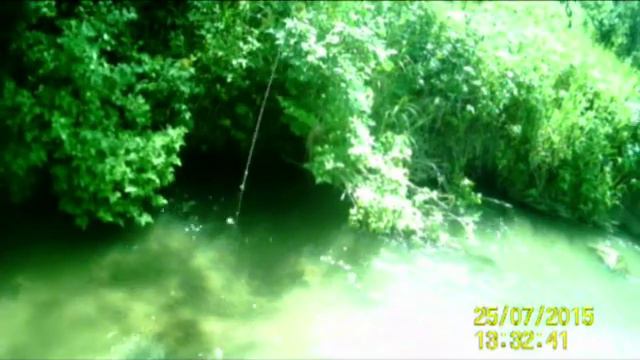 Хариус на малых реках Алтая смотреть онлайн