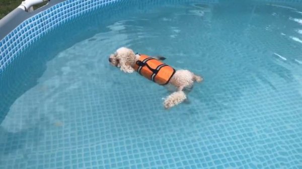 "Яхта" в гараже часть 8 Финал. Спуск на воду. (Argie 15 dinghy build part The end:)