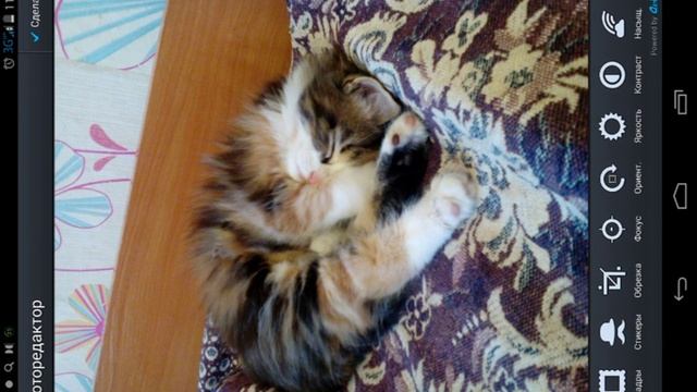 Я и мой планшет((??)) Обзор на мой планшет Lenovo(( Полина Котик смотреть онлайн