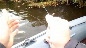 Ловля щуки на дорожку.Рыбалка троллингом.Силикон(виброхвосты) удивляют.