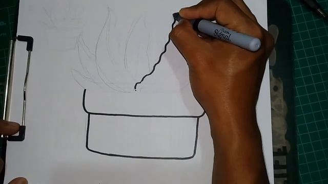 Como Dibujar una Planta Savila Facil | Dibustrador Studio смотреть онлайн