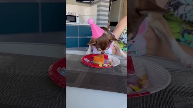 Днюха, нам 3 годика!