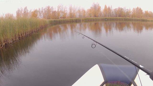 Осенний жор щуки, октябрь 2021 г. Сьемки под водой смотреть онлайн