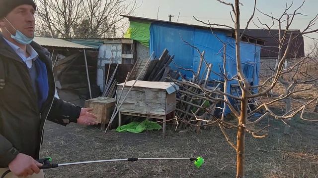 Перша весняна обробка саду, від грибкових захворювань залізним купоросом. смотреть онлайн