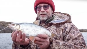 ПЛОТВА НА БЛЕСНУ И БАЛАНСИР. РЫБАЛКА НА ЯМАЛЕ. ЗАКРЫТИЕ СЕЗОНА | C полем!