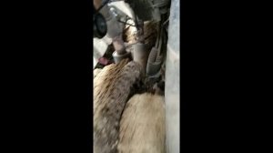 Снятие мотора с коробкой Audi A6 2.4 BDV