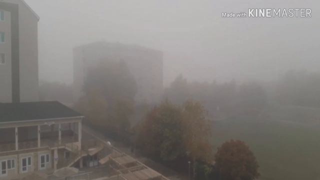 Туман что это такое и вредный ли он для организма человека? смотреть онлайн