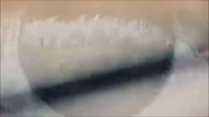 Все люди братья!