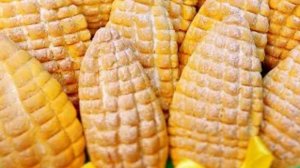 Кукурузное печенье