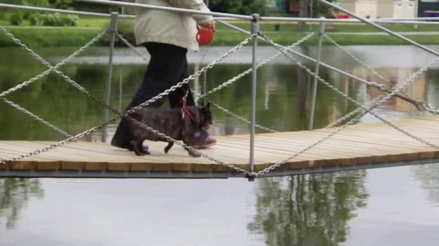 переход Суворова смотреть онлайн