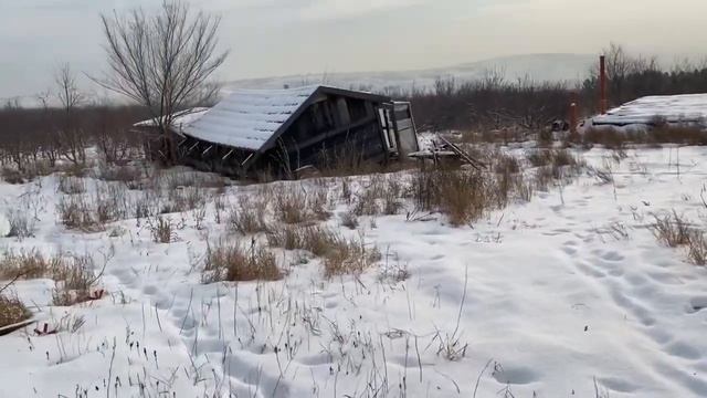 Сад в январе 2021. Познавательная прогулка. смотреть онлайн