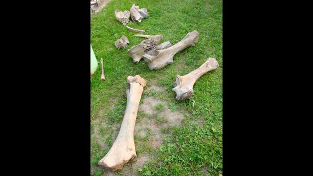 То, что нашел фермер возле реки, шокировало весь мир! Вот это да! смотреть онлайн