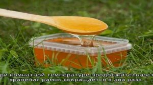 Как хранить мед в сотах