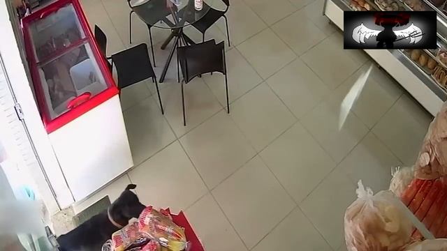 Ёма ё №31 смотреть онлайн