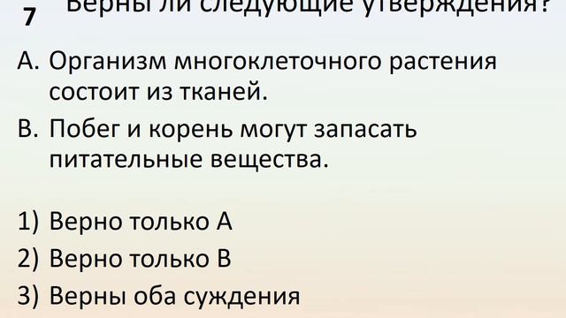 Б6 09 Что мы узнали о строении живых организмов смотреть онлайн