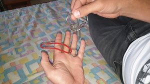 головоломка кольца и верёвка