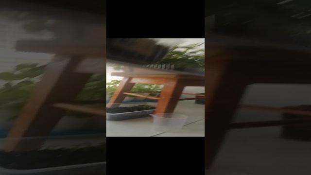 VID_20240525_145853.mp4 смотреть онлайн