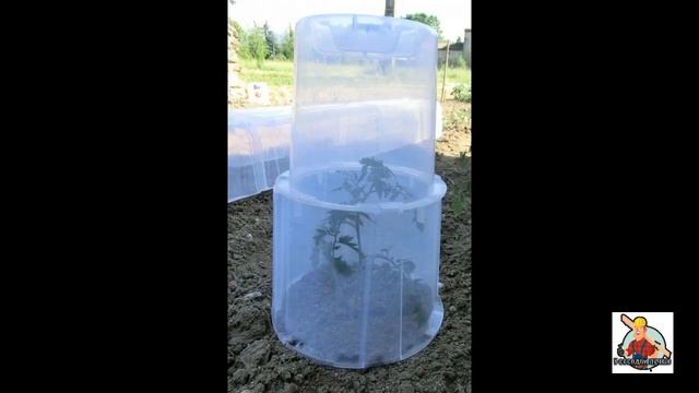 Необычные теплицы на садовом участке/Зимний сад/Сделай сам/Своими руками/У соседей лучше. смотреть онлайн