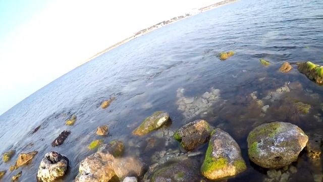 Шипастые скаты и весенняя ставрида - пикник у моря смотреть онлайн