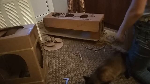 Домик для кошки своими руками Как сделать домик когтеточку для кошки Домики из коробок своими рукам смотреть онлайн