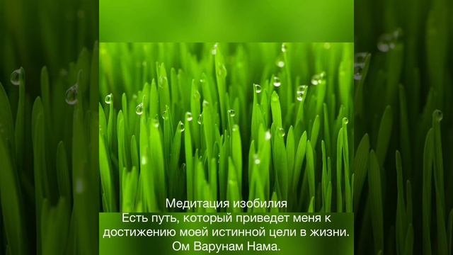 День 14 Медитации на Изобилие Оригинал (English). смотреть онлайн