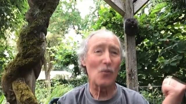 Ciscoe's tips to keep your lawn green during Seattle summers смотреть онлайн