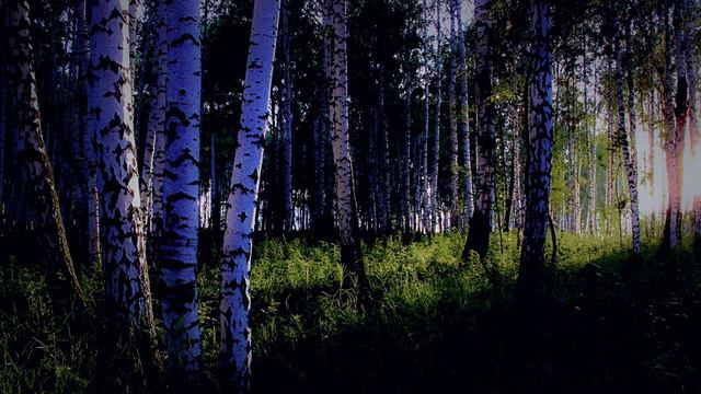 Будет месяц июль самым странным смотреть онлайн