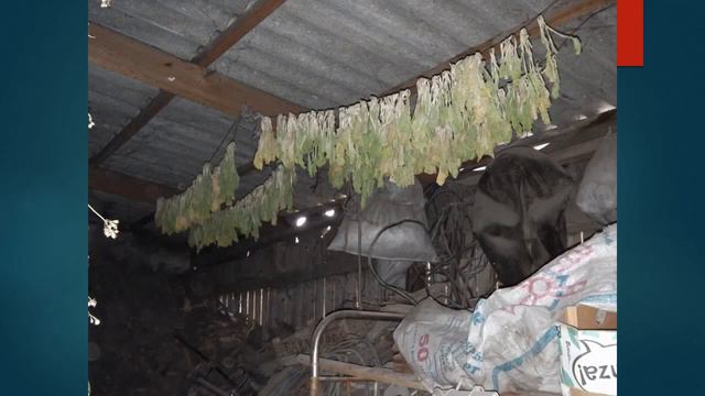 Герман Ким (ВЭКС) Артефакты бытовой материальной культуры коре сарам смотреть онлайн