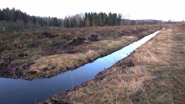 Meža meliorācijas sistēmu atjaunošana Baltijas jūras reģionā смотреть онлайн
