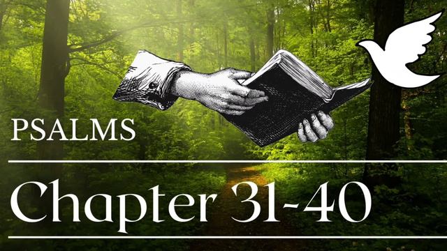 Psalm 31, 32, 33, 34, 35, 36, 37,38,39,40 Powerful Psalms ( Bible verses for sleep with God's Word! смотреть онлайн