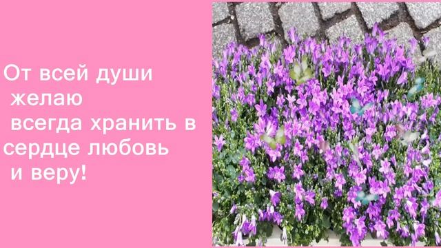 музыкальная открыткa хорошего дня и настроения для друзей смотреть онлайн