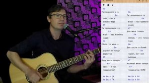 Терминатор - Ленинград. Cover by ZONIN. На гитаре. Аккорды.