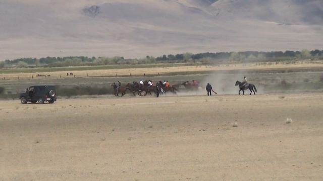 Открытие скакового сезона Республики Алтай с. Кош-Агач 04.06.2022 год. Мугражев Болатжан 2400 м смотреть онлайн