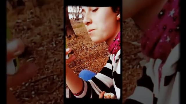 Viaje a Paso de los Toros смотреть онлайн