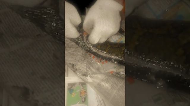 как чистить рыбу змееголов смотреть онлайн