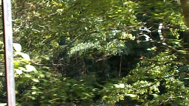 DSCN7844 Гуамское ущелье сентябрь 2024