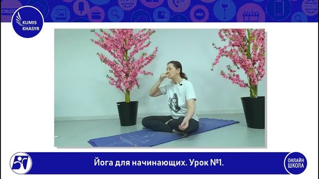 Йога для начинающих | Урок 1 смотреть онлайн