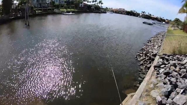 Single Cast Challenge in the Paradise смотреть онлайн