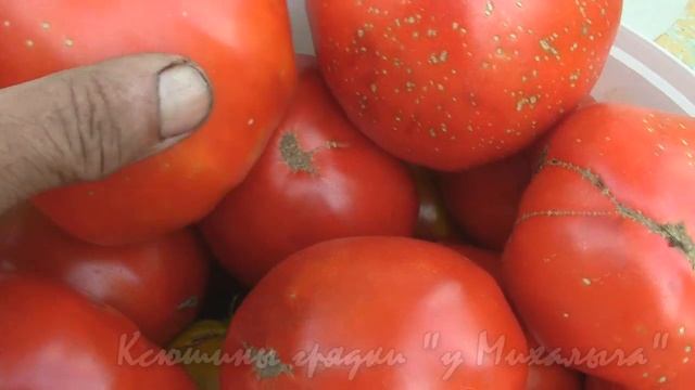 Как мы боремся с урожаем! смотреть онлайн