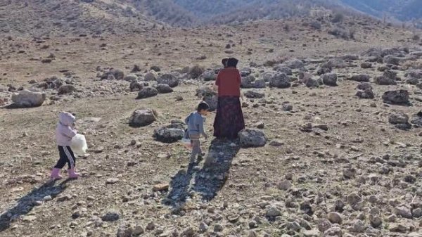 "Mountain Mom: Conquering Heights, Nurturing Hearts"