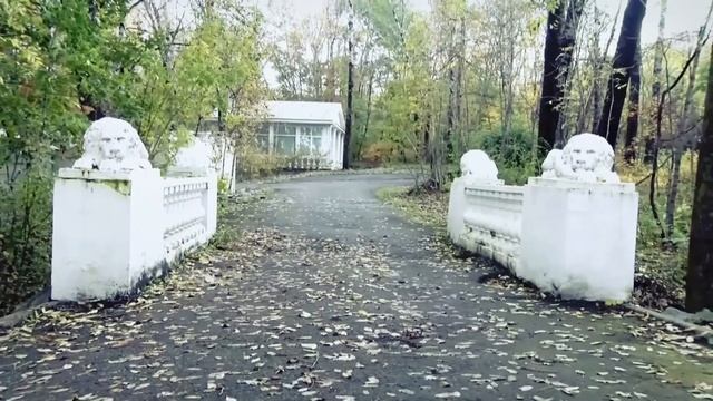 С днем рождения Хабаровск смотреть онлайн