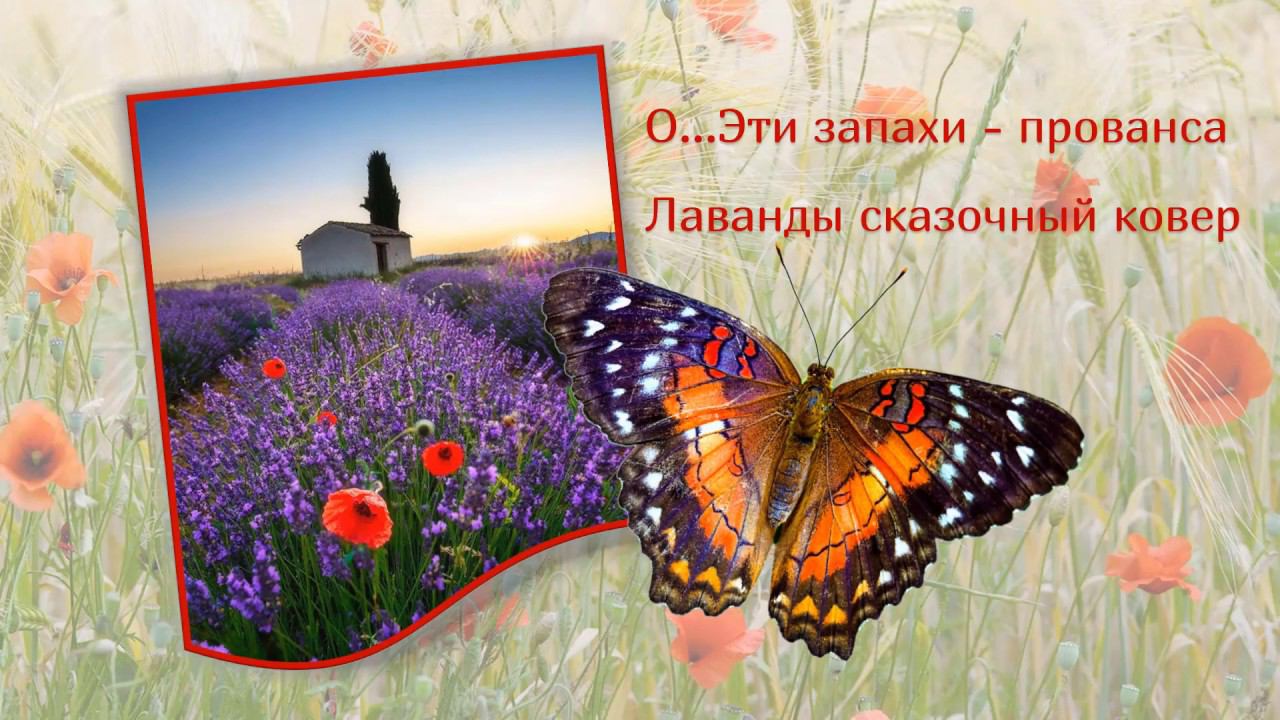 Летнее настроение смотреть онлайн