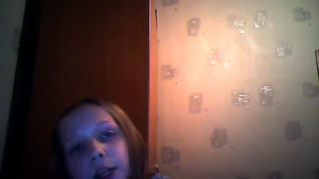 КАК кормить той-терьера???