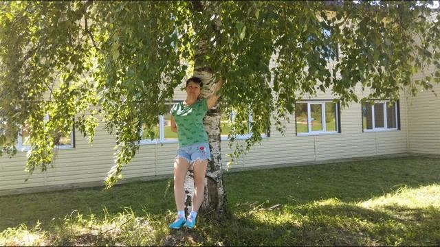 Сямжа, Сямженский район