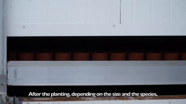 Company presentation Wetering Potlilium BV смотреть онлайн